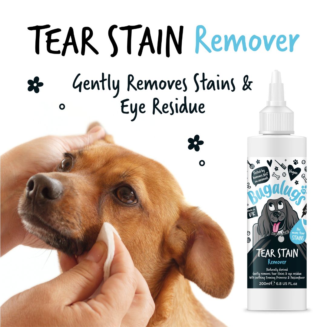 Dog eye cleaner stain 2025 remover