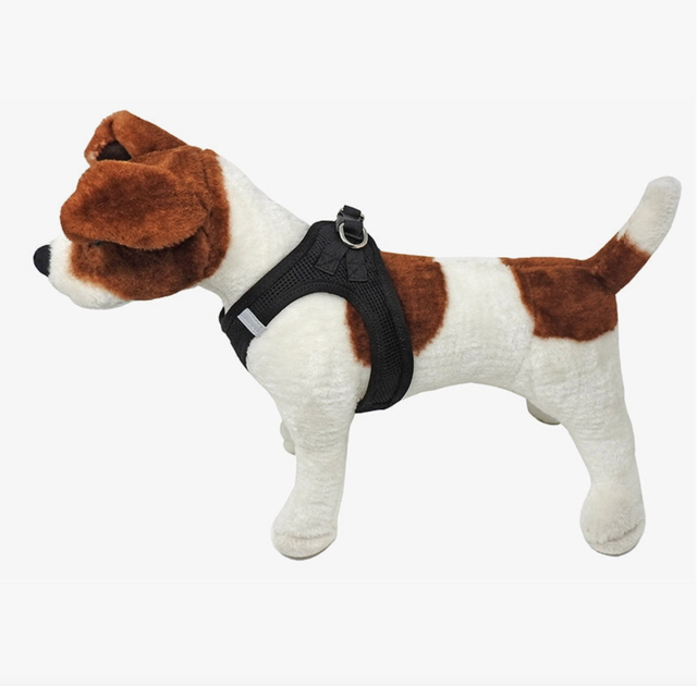 Miro 2025 makauri harness